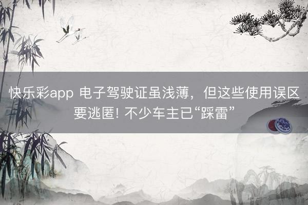 快乐彩app 电子驾驶证虽浅薄,但这些使用误区要逃匿! 不少车主已“踩雷”