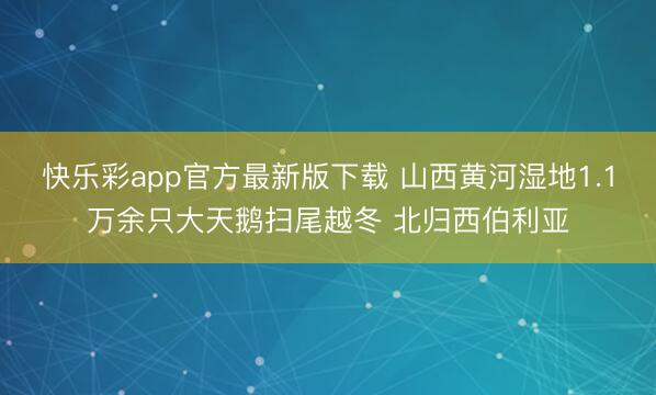 快乐彩app官方最新版下载 山西黄河湿地1.1万余只大天鹅扫尾越冬 北归西伯利亚